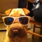 LA nala posando!